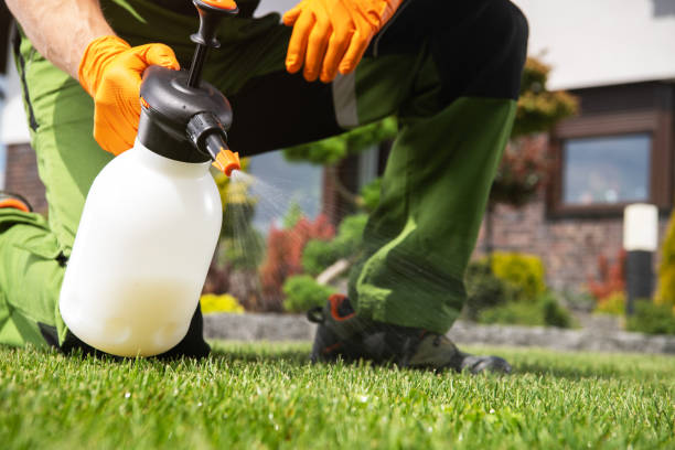 Best Pest Control Near Me  in Urbandale, IA